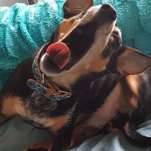 Meet your Posher, Caitlin